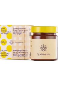 Greek Organic Honey and Ginger 280gr στο Placebopharmacy